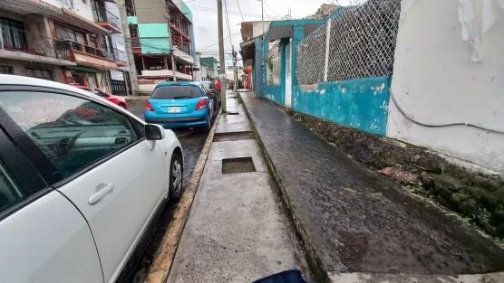 Aún hay calles de Xalapa que reservan espacio para un arbolito.  ¡Atención ambientalistas! 
