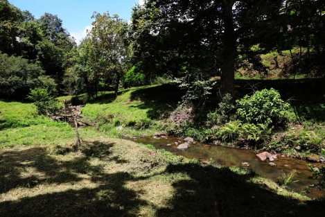 Con el objetivo de mejorar el medio ambiente para ésta y las futuras generaciones, el Ayuntamiento, en colaboración con el Gobierno de Veracruz, invita a participar en la jornada de reforestación programada para este sábado 5 de agosto a las 8:00 horas en los predios recientemente adquiridos por la Administración Municipal, como patrimonio natural de las y los xalapeños. 