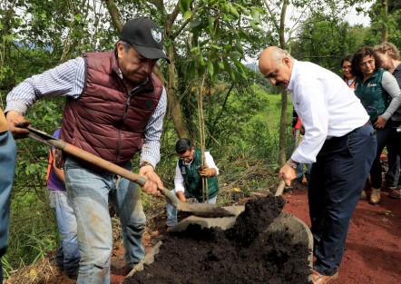 Con la siembra de 3 mil árboles en este predio, ahora nuestra ciudad contará con un parque ecológico que busca promover la convivencia familiar y la preservación del bosque mesófilo de montaña. Es una aportación significativa para el bienestar de la comunidad y el cuidado de nuestro entorno natural.
