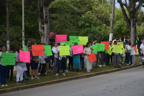 Se colocaron en el camellón sin afectar circulación, y estar en la sombrita.