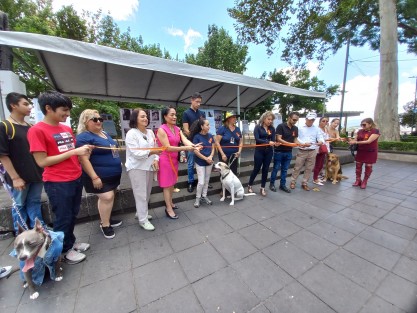 En el parque Juárez de Xalapa, Ver. fue inaugurada la exposición fotográfica: Rescate Animal en Foto, en la que rescatadores de animales comparten las historias de perros y gatos a quienes han cambiado la vida. 