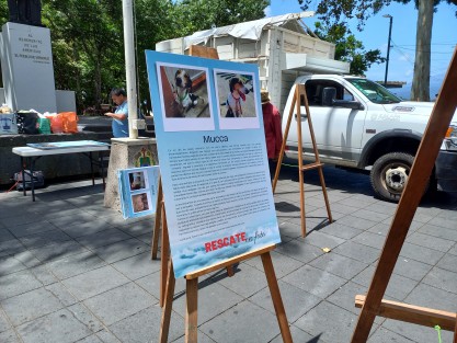 En el parque Juárez de Xalapa, Ver. fue inaugurada la exposición fotográfica: Rescate Animal en Foto, en la que rescatadores de animales comparten las historias de perros y gatos a quienes han cambiado la vida. 