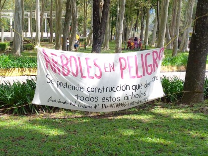 Y mientras los manifestantes en las mantas indican hasta el número de licitación de la  obra que requeriría presuntamente el derribo de árboles, las autoridades municipales sólo dan cuenta en el lugar de trabajos de rehabilitación de señalización vertical en la zona. 