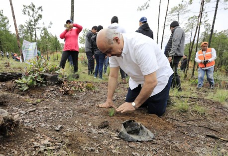 El Alcalde de Xalapa, Ricardo Ahued Bardahuil, se sumó a la jornada de reforestación en el Cofre de Perote organizada por Gobierno del Estado realizada este domingo. Esta zona es una fuente de agua para nuestro municipio, comentó el edil capitalino en sus redes sociales.  
