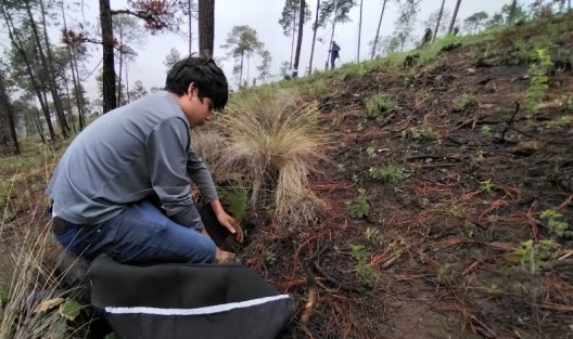  Siembra de arbolitos este domingo en el Ejido Sierra de Agua, en la parte boscosa del Cofre de Perote, como parte de la iniciativa Fabriquemos Agua Reforestando. Participó personal de Protección Civil, Secretaría de Medio Ambiente, Seguridad Pública, Secretaría de Educación, la Coordinación General de Comunicación Social, entre otros. La meta es de 100 mil arbolitos, fijada por el Gobierno de Veracruz, se cumplió con esta jornada.