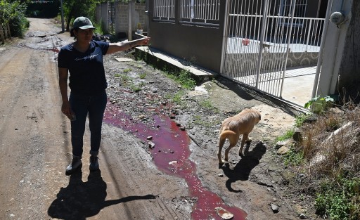 Habitantes de la localidad El Pueblito, municipio de Jilotepec, denunciaron que el estado de la red de drenaje ha empeorado por la operación de un rastro en la zona que vierte desechos de los animales, mismos que brotan a la calle.