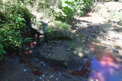 Los olores fétidos afectan a cerca de 40 familias, y la situación empeora cuando llueve, pues el drenaje se tapa con los desechos vertidos por el rastro. 