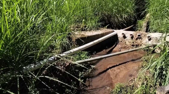 Su preocupación es que esta explotación podría perjudicarles en un futuro, porque estarían afectando los nacimientos de agua que hay en los alrededores. 