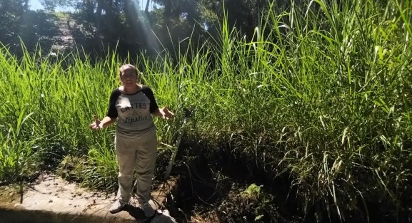Su preocupación es que esta explotación podría perjudicarles en un futuro, porque estarían afectando los nacimientos de agua que hay en los alrededores. 