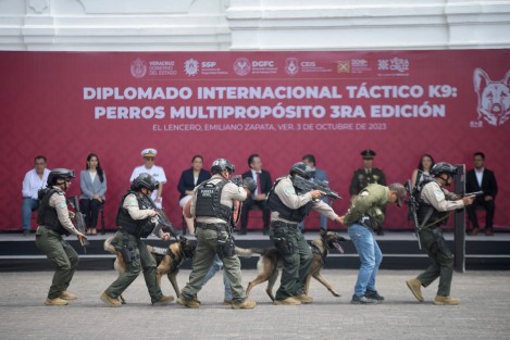 Al menos 90 oficiales de 10 países de América Latina han egresado del Diplomado Táctico K9: Perros Multipropósito impartido por el Agrupamiento Canino de la Fuerza Civil, que hoy inaugura la tercera edición internacional en técnicas y habilidades preventivas del delito en el que participarán 15 instructores de cinco nacionalidades.