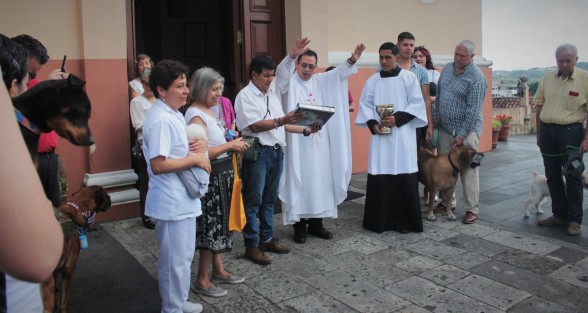 Con motivo de la festividad de San Francisco de Asís, en algunas iglesias se bendijo a las mascotas. En otras se reservaron esta tradición para el domingo próximo.
