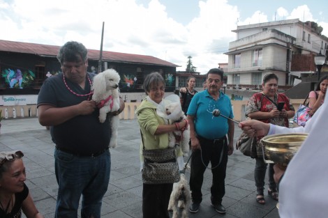 Con motivo de la festividad de San Francisco de Asís, en algunas iglesias se bendijo a las mascotas. En otras se reservaron esta tradición para el domingo próximo.