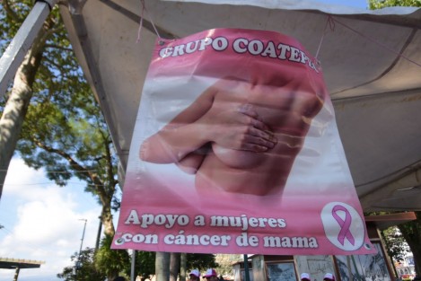 En el Día Internacional de la Lucha contra el Cáncer de Mama, el Ayuntamiento de Xalapa organizó una Feria de la Salud en la explanada del Parque Juárez.