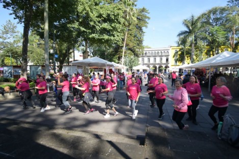 En el Día Internacional de la Lucha contra el Cáncer de Mama, el Ayuntamiento de Xalapa organizó una Feria de la Salud en la explanada del Parque Juárez.