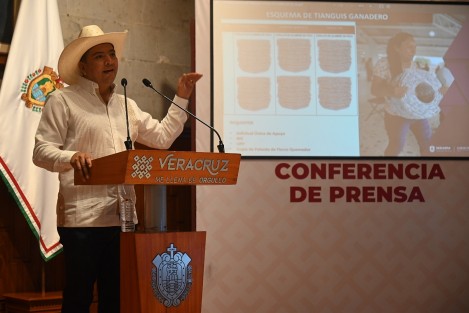 Entre 2022 y 2023, los Tianguis Ganaderos de la Secretaría de Desarrollo Agropecuario, Rural y Pesca (SEDARPA) han impactado directamente a 9 mil 009 familias de 153 municipios con la entrega de materiales e insumos, destacó en conferencia del gobernador Cuitláhuac García Jiménez el subsecretario de Ganadería y Pesca, Humberto Amador Zaragoza. 