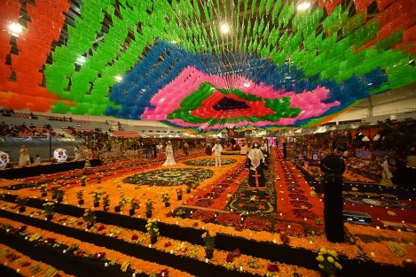 Esta noche de martes, con la presencia de autoridades estatales y representantes de la organización Guinness World Records, fue declarado y abierto al público El Altar de Muertos Más Grande del Mundo en las instalaciones del Velódromo de Xalapa. Como invitados especiales, el ex secretario de Educación, Zenyazen Escobar; y el ex diputado local Atanasio García Durán.