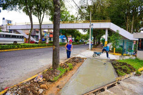Este sábado se iniciará la demolición del puente peatonal que se ubica en la avenida Xalapa, cerca de la Facultad de Economía, Geografía y Estadística de la Universidad Veracruzana (UV), por lo que se cerrará a la circulación vehicular esta vialidad.