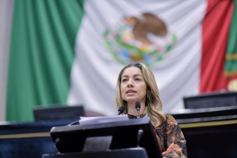 La diputada Maribel Ramírez Topete presentó al Pleno de la LXVI Legislatura un Anteproyecto con Punto de Acuerdo, por el cual exhorta a la Secretaría de Salud (SS) del estado a que atienda inmediatamente a la población con mayor riesgo de infecciones por el mosquito trasmisor del dengue