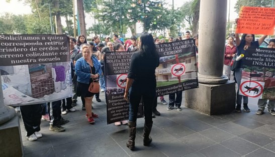 Vecinos y alumnos de la Telesecundaria Lázaro Cárdenas del Río, se manifestaron frente  a Palacio Municipal de Xalapa, para denunciar malos olores a causa de un criadero de cerdos en una propiedad colindante.