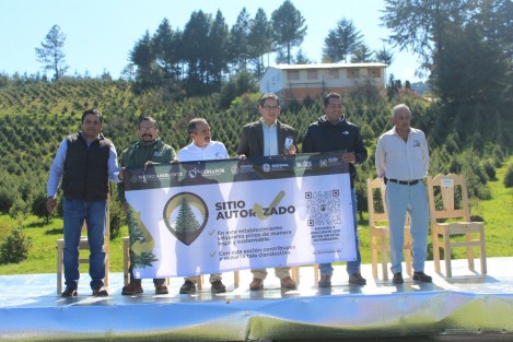 Como cada año, inició la campaña Corta legal y Recicla tu Navidad, una colaboración entre la Comisión Nacional Forestal (CONAFOR), la Secretaría de Medio Ambiente (SEDEMA) y los silvicultores del corredor Villa Aldama - Las Vigas, con el objetivo de promover los sitios autorizados para la venta de pinos.