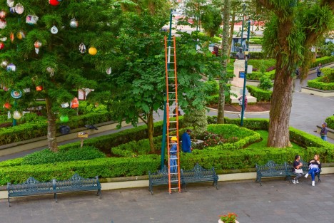 Con el propósito de contribuir a la seguridad y tener una iluminación adecuada en la zona Centro, personal del Ayuntamiento realizó labores de mantenimiento preventivo y mejora en la red de alumbrado público del parque Benito Juárez. 
