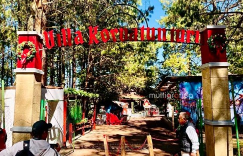Así como las tradicionales : La casa de Santa, la fábrica de juguetes, y las aventuras con santa y el Gruñón en realidad virtual. Etc. Visitar el Bosque del Ciclo Verde es una experiencia que se recordará cuando la navidad haya pasado.  