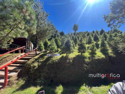 En el Ciclo Verde, del 18 de noviembre al 17 de diciembre, de 9am a 9pm, todos los días de la semana corta y escoge tu árbol de Navidad. El Parque temático solo funciona sábados y domingos.
