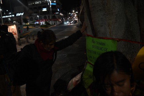 Un grupo de jóvenes  despidieron con cantos el árbol al costado de la Pinacoteca Diego Rivera, que por motivos de seguridad debió ser talado en el centro de Xalapa. A últimas fechas activistas se oponen al retiro o poda de árboles ante el desconocimiento del manejo que se debe hacer de los mismos en zonas Urbanas.