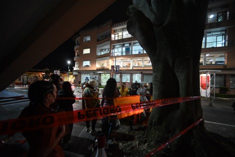 Un grupo de jóvenes  despidieron con cantos el árbol al costado de la Pinacoteca Diego Rivera, que por motivos de seguridad debió ser talado en el centro de Xalapa. A últimas fechas activistas se oponen al retiro o poda de árboles ante el desconocimiento del manejo que se debe hacer de los mismos en zonas Urbanas.