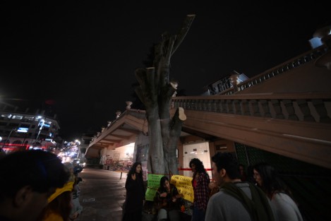 Un grupo de jóvenes  despidieron con cantos el árbol al costado de la Pinacoteca Diego Rivera, que por motivos de seguridad debió ser talado en el centro de Xalapa. A últimas fechas activistas se oponen al retiro o poda de árboles ante el desconocimiento del manejo que se debe hacer de los mismos en zonas Urbanas.