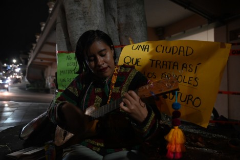 22 de Noviembre, Día del Músico. Abundantes en Xalapa. ¡Felicitaciones a todos!