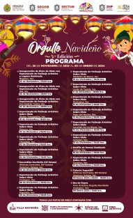 Junto con la Secretaría de Turismo y Cultura (SECTUR) fue anunciada la quinta edición del festival Orgullo Navideño en Actopan, Amatlán, Álamo, Coatepec, Huatusco, Isla, Lerdo de Tejada, Medellín, Nogales, Pánuco, Papantla, Paso del Macho, San Andrés Tuxtla, Tantima, Tihuatlán y Totutla, donde instalarán pistas de hielo y villas iluminadas a partir de este 25 de noviembre y hasta el 6 de enero.