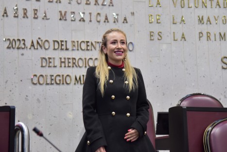 La diputada Nora Jéssica Lagunes Jáuregui presentó al Pleno de la LXVI Legislatura una iniciativa  para que la educación inicial sea considerada por los gobiernos estatal y municipales para la coordinación en la implementación, de mejor manera, de las políticas públicas educativas en la materia. 