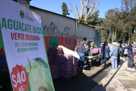 De varios puntos aledaños a la ciudad de Xalapa productores de aguacate llegaron a la calle Villahermosa, junto a la Escuela Normal, para vender su producto a bajo costo.