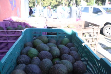 Estarán también el día de mañana por si gusta apoyar a los productores locales.
