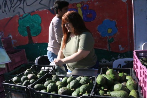 Estarán también el día de mañana por si gusta apoyar a los productores locales.
