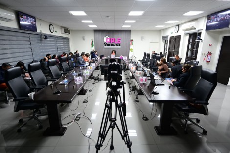  El Consejo General del OPLE Veracruz aprobó los Lineamientos generales que, sin afectar la libertad de expresión y la libre manifestación de las ideas ni pretender regular dichas libertades, se recomienda a los noticiarios respecto de la información y difusión de las etapas de obtención de apoyo de la ciudadanía a quienes aspiren a candidaturas independientes, precampañas, intercampañas, campañas partidistas y de candidaturas independientes, veda y jornada electoral en términos de lo dispuesto por el artículo 302 del Reglamento de Elecciones del Instituto Nacional Electoral.