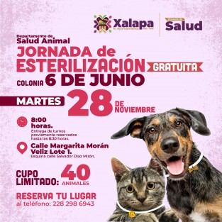La Dirección de Salud, a través del Departamento de Salud Animal, los invita a participar en la Jornada De Esterilización felina y canina  (sólo caninos machos), exclusiva para habitantes de la colonia 6 de junio, a realizarse el martes 28 de noviembre.