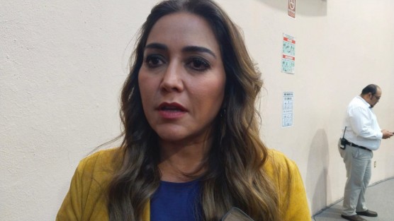 La diputada local, Anilú Ingram Vallines, aseguró que continuará trabajando por México y Veracruz, como desde hace 20 años lo ha hecho en su vida política, desde cualquier lugar. 