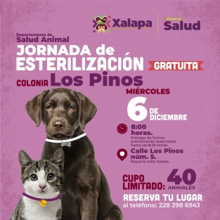 El Ayuntamiento  de Xalapa, a través de la Dirección de Salud,Departamento de Salud Animal, invita a habitantes de la Colonia Los Pinos aparticipar en la Jornada de Esterilización felina y canina (sólo caninos machos), exclusiva para habitantes de esa zona. La misma se llevará a cabo el miércoles 6 de diciembre 2023.
