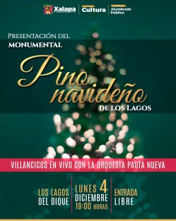 El Ayuntamiento  de Xalapa invita a la presentación del monumental pino navideño, en el Paseo de los lagos, el próximo  lunes 4 de diciembre, a las 19:00 horas. 