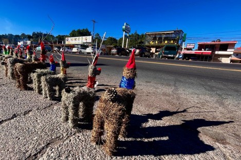 La llegada de visitantes en esa región también es aprovechada por los habitantes, quienes hacen uso de su creatividad para que la derrama económica de la temporada también llegue a sus hogares. Así estos renos para decoración de las casas. 