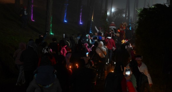 Desde hace unos años, las plantaciones de pinos en la región de Las Vigas, Ver., constituyen un atractivo turístico de la temporada navideña. Familias con posibilidades acuden por su pino y a un día de convivencia familiar.