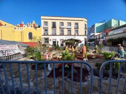 ¿Cuántos más?... Ya ni en la Plaza Lerdo de Xalapa hay arbolito.  ¿Cuántos más?