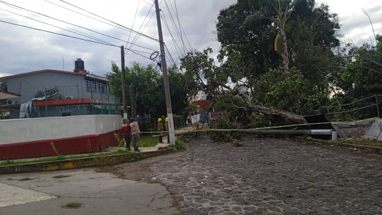 En el operativo de atención a emergencias implementado por instrucciones del presidente municipal Ricardo Ahued Bardahuil participan cinco brigadas y equipos de alertamiento de Protección Civil, ya que se espera que por la tarde y noche continúe el descenso de la temperatura asociado a la masa polar que afecta al Golfo de México. 