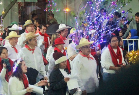Los contingentes resaltaron en su temática La Rama Veracruzana, e incluso el Gobernador del Estado acompañó los villancicos con la jarana. 