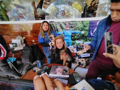 Animalistas invitan a adoptar animales en estas fechas. También exhortaron a no utilizar pirotecnia, pues aunque está prohibido se sigue usando.