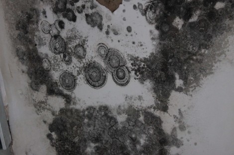 La humedad fue provocando daño al techo y consecuentemente a los plafones de la sala, por lo que se han realizado trabajos en techos de reparación y posteriormente la impermeabilización así como generar pendientes para el agua de lluvia, cambio de bajantes y canales. En total  952 mts cuadrados a los que se dio mantenimiento. Los plafones dañados serán rehabilitados.