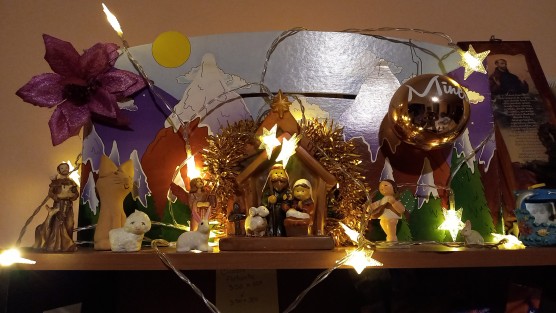 Poco conocido es el hecho de que este año se conmemoran 800 años del primer Nacimiento o Belén, realizado por San Francisco de Asís a manera de recordar y simbolizar la llegada de Jesús. Por ello se invitó a colocar una imagen del Santo italiano en todos los Nacimientos del mundo. 