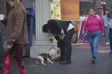 Boleros hacen la tradicional broma de la cartera en el parque Juárez y sobre la avenida Enríquez, a transeúntes en este Día de los Inocentes.